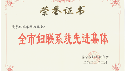 喜報(bào)！興業(yè)集團(tuán)婦委會(huì)榮獲“全市婦聯(lián)系統(tǒng)先進(jìn)集體”榮譽(yù)稱號(hào)