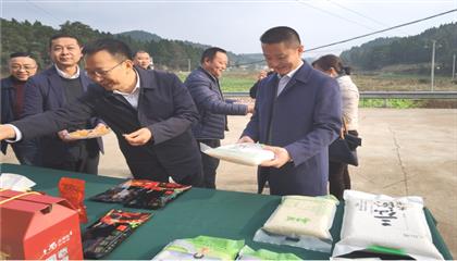 市委常委、政法委書記劉波濤帶隊(duì)調(diào)研指導(dǎo)定點(diǎn)幫扶村鄉(xiāng)村振興工作
